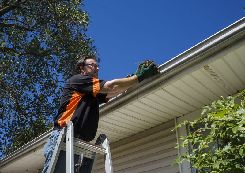 Best Gutter Protection Contractors in Covington, KY